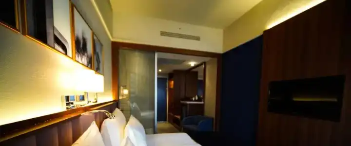 Four Points Flex by Sheraton Bursa Nilüfer - 3