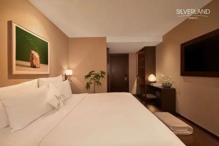 Silverland Sakyo & Spa - 106