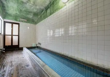 Ryokan Sakamotoya - 3