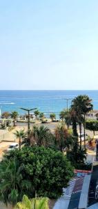 Palmen Apart - 122