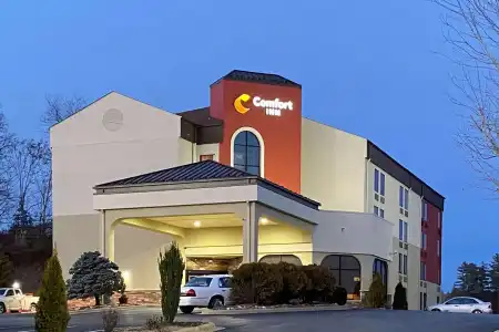 Comfort Inn North of Asheville - 0