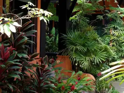 The Shambhala Khaolak Resort (SHA Extra Plus) - 16