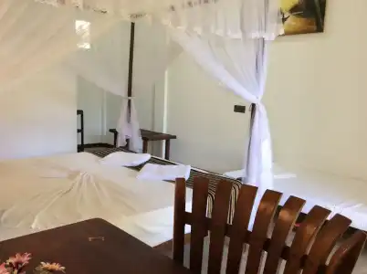 Sigiriya Rock Hide - 5