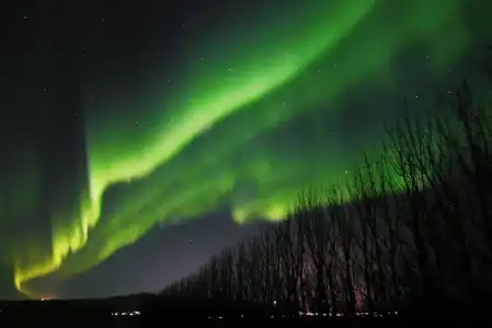 Hjarðarból - 26