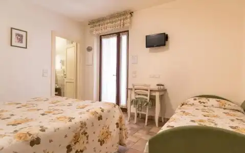 Rosa di Assisi - 92