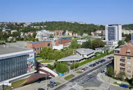 Orea Congress - 21