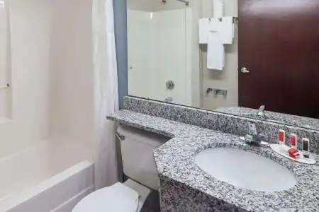 Microtel Inn & Suites by Wyndham Greenville / Woodruff Rd - 7