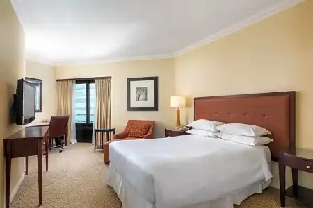 Sheraton Buenos Aires & Convention Center - 54