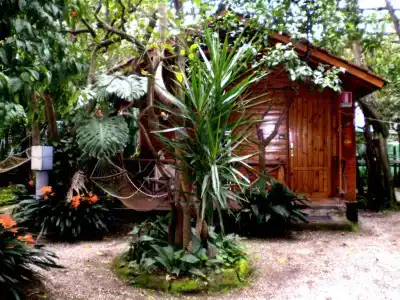 Villaggio Verde - 71