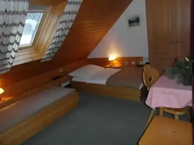 Turistična Kmetija Košir - 17