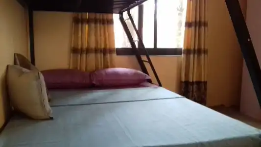 Nepal Inn Bed & Breakfast - 2