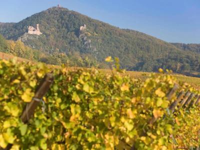 Ibis Colmar Centre - 15