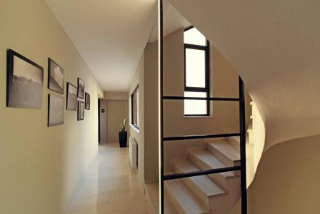 Athens Iris - 11