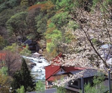 Takaragawa Onsen Osenkaku - 14