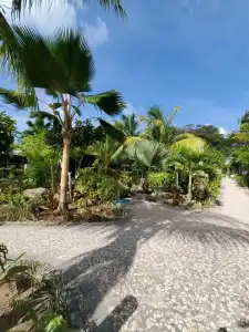Cabanes des Anges - 14