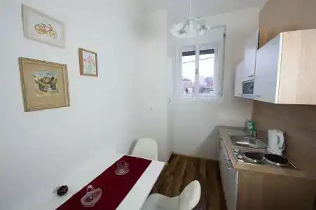 Vila Teslova - 13