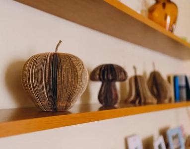 Exclusive Apartla Reunion - 79