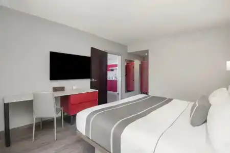 City Express Plus by Marriott Ciudad de México Insurgentes Sur - 78