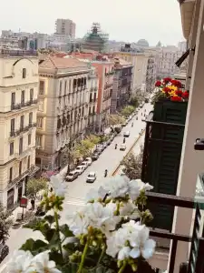 Nacu 90 - 11