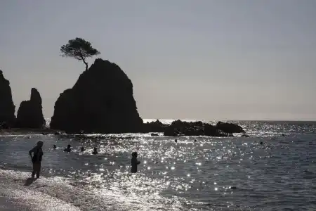 Rovira - 18