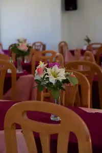 Panorama - 23