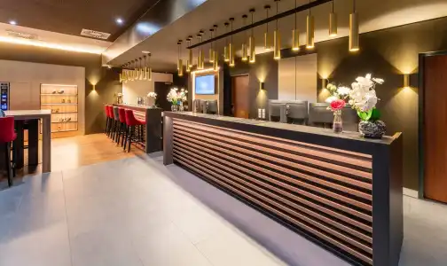 PLAZA Premium Karlsruhe - 32