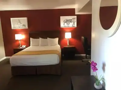 Knights Inn Downtown Los Angeles - 23