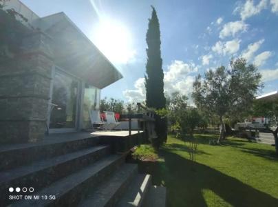 Torre Santamaria - 54