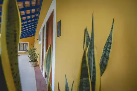 Wakax Hacienda - Cenote & Boutique - 9