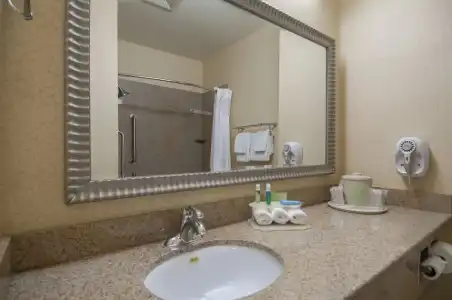 Holiday Inn Express and Suites Bakersfield Central by IHG - 55