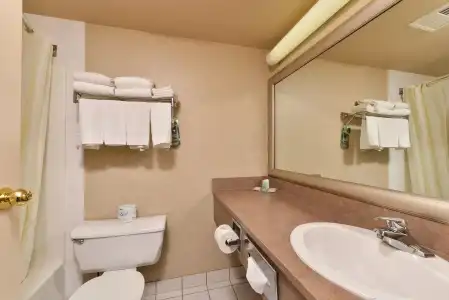Comfort Inn & Suites Airport South - 8