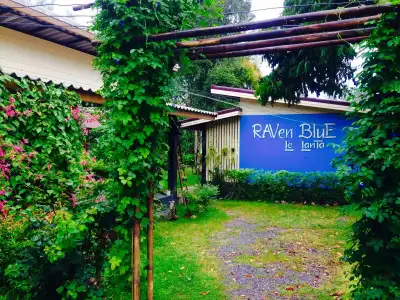 Raven Blue - 19