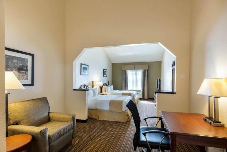 Quality Inn & Suites West Chase - 38
