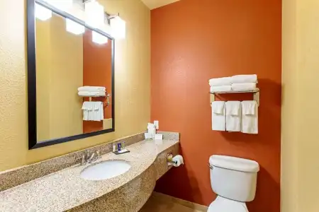 Sleep Inn & Suites Tyler South - 52