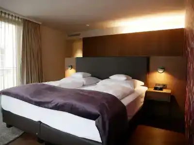 Best Western Premier Rebstock - 72