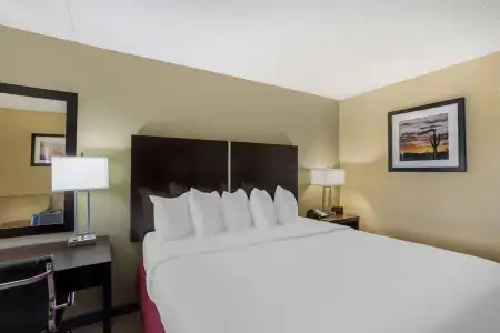 Best Western Harrisburg North - 40