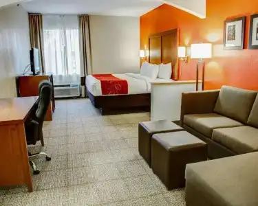 Comfort Suites Tyler South - 40
