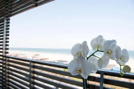 Kiss Beachfront & Restaurant - 91