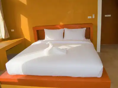 World Cat & Resort - 1