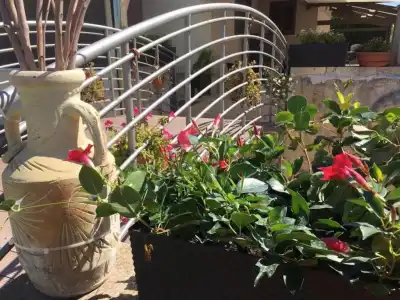 Giardini di Marzo Lecce B&B - 9