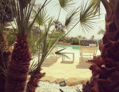 Tenuta Aletheia B&B - 16