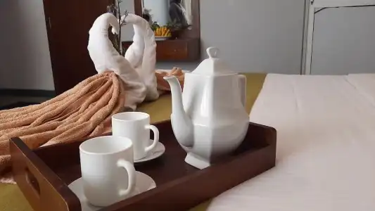 Tea Mount Forest - 26