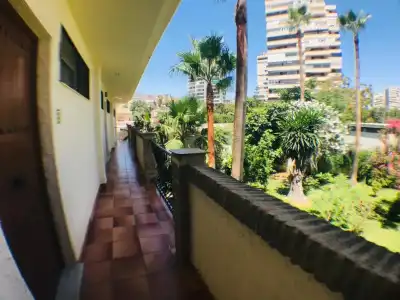 Los Jazmines - 69