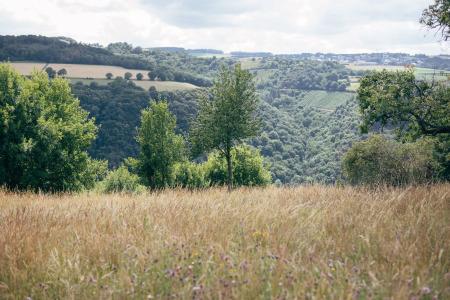 Fetz Das Loreley - 14