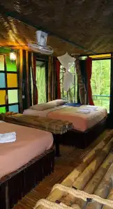 Khao Sok Tree House - 62
