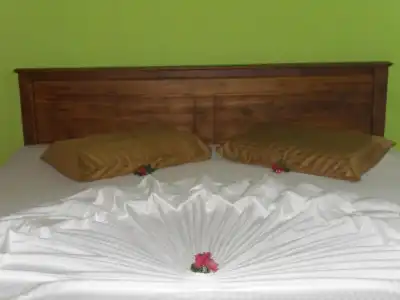 Bee Nest Bed & Breakfast - 0