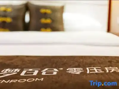 Wanyou Conifer Chongqing - 15