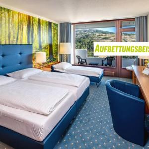 Ahorn Harz Braunlage - 32