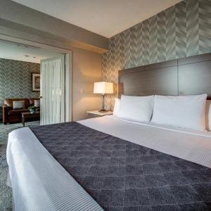 Monte Carlo Inn Toronto - Markham - 37