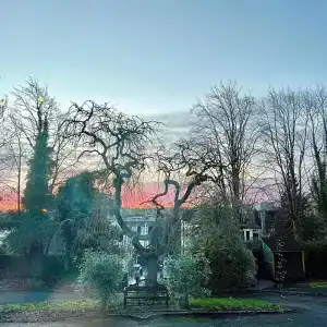 Ashtree House - 86